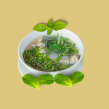 Cá bớp nấu lá lốt